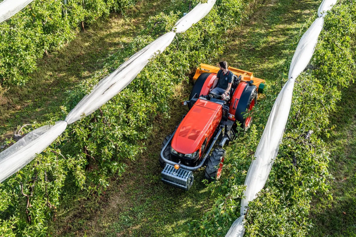 Trattori da frutteto, vigneto e oliveto. — Settanni Macchine Agricole