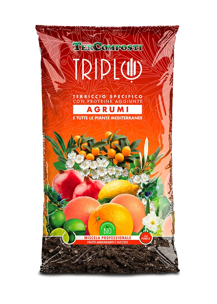 Agrumi