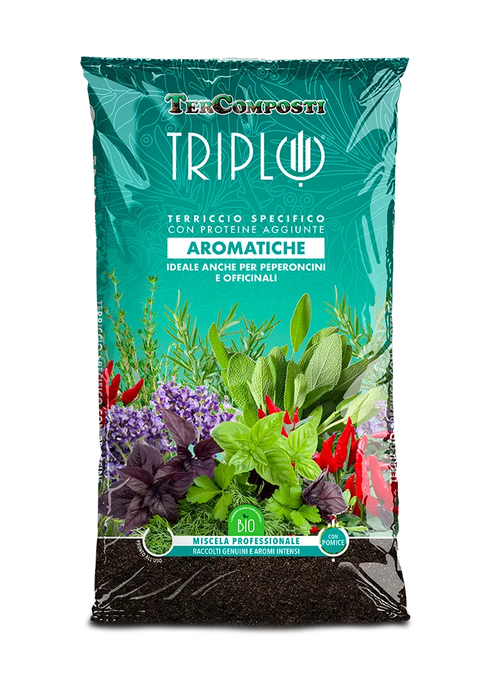 Piante aromatiche