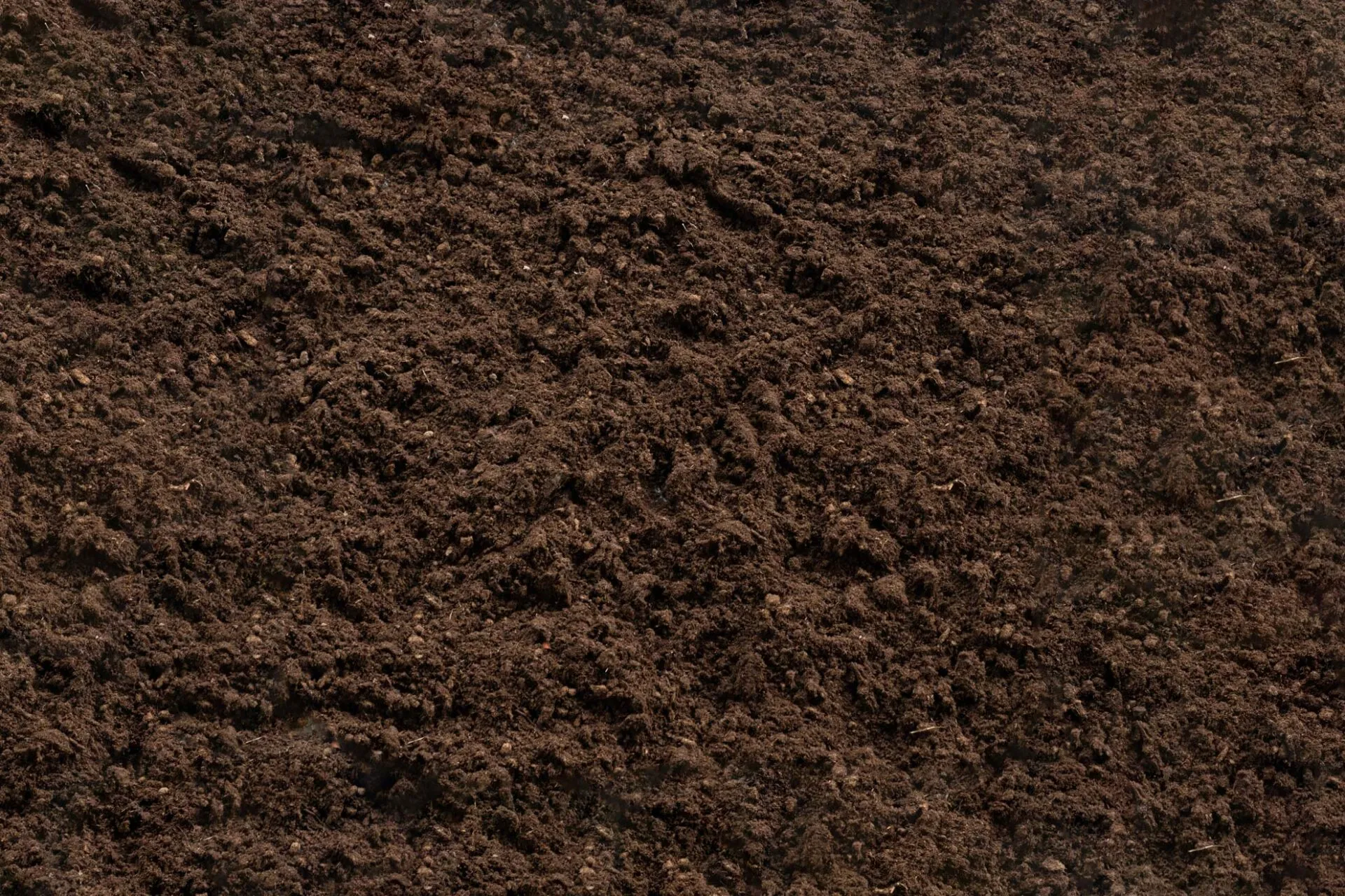 Terriccio Tercomposti in primo piano