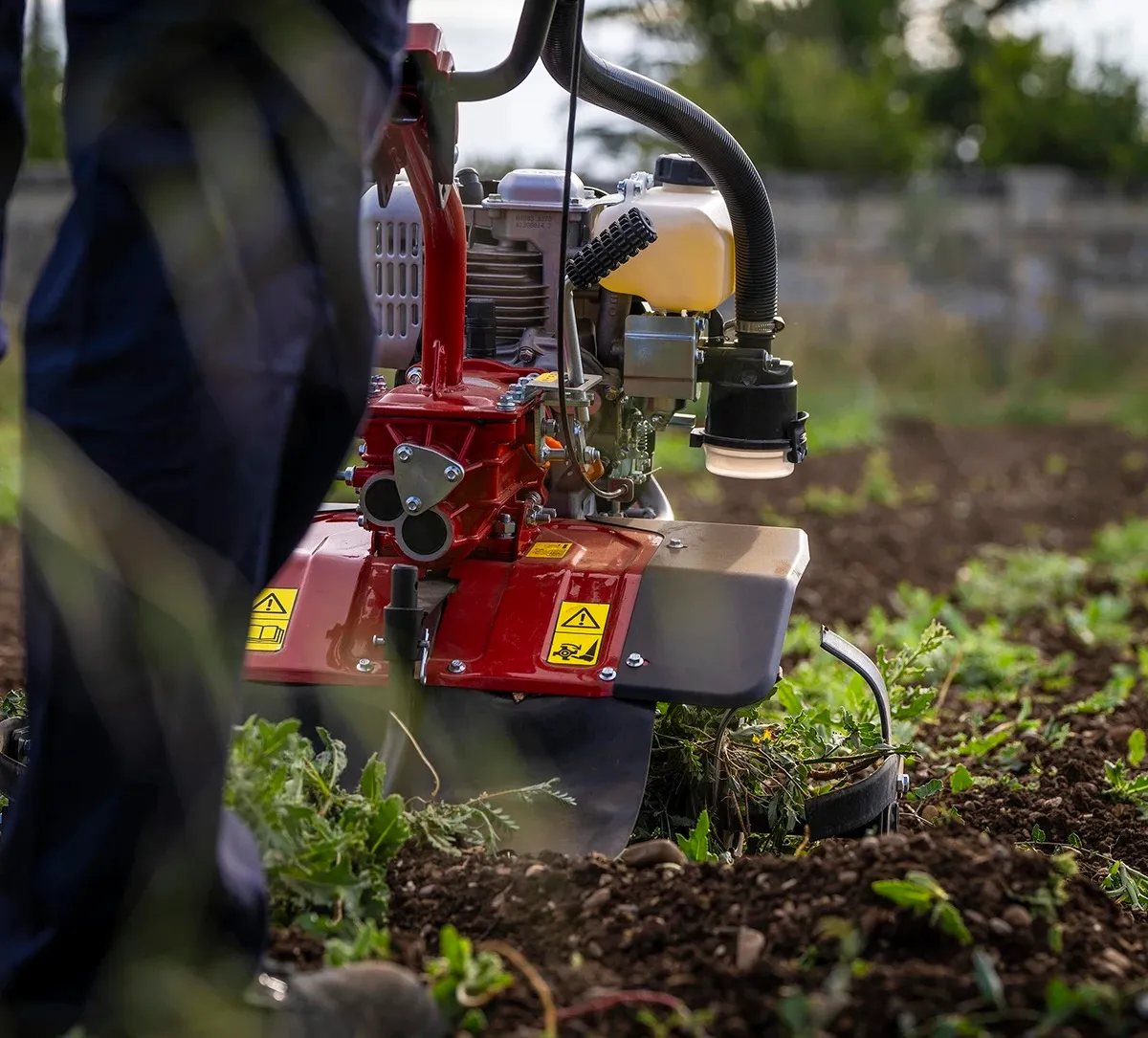 Motozappa Zanetti al lavoro nell’orto