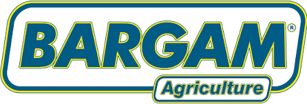 Bargam
