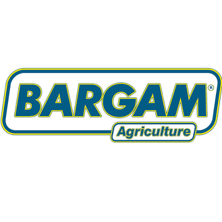 Bargam